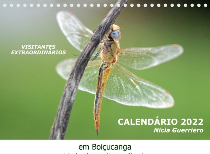 Calendario_Nicia_2022_1